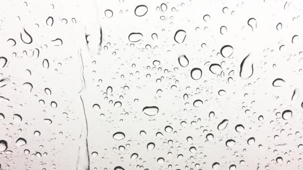 Regentropfen Auf Dem Fenster Glas Oberflächlicher Dof — Stockvideo