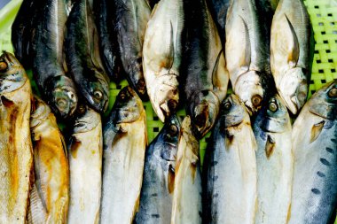 Geleneksel bir markette konteynır sepetinde tuzlanmış balık.