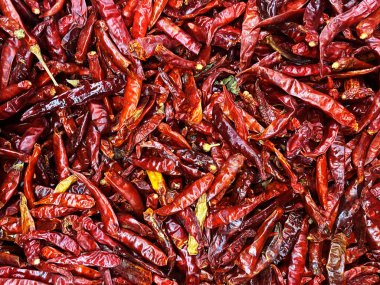 Kırmızı biber, kırmızı biber arka planda kırmızı biber kuru kırmızı biber kırmızı biber kırmızı biber.