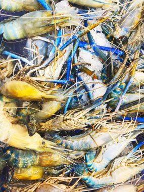 Kapalı nehir karidesleri pazarda.