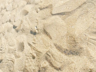 Yaz arkaplanı için kumsal dokusunda kum.