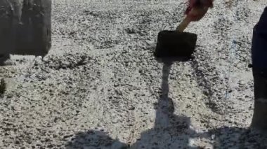 Verimli hasat işçisi tarlada buğday hasat ediyor, çiftçi için verimli bir hasat getiriyor..