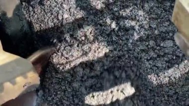 Verimli hasat işçisi tarlada buğday hasat ediyor, çiftçi için verimli bir hasat getiriyor..