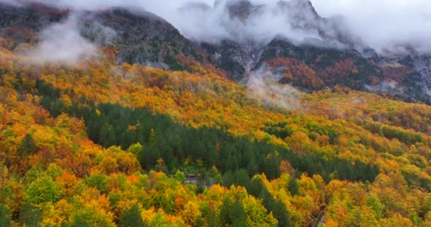 北アルバニアのトゥッリ国立公園の秋の風景は 活気に満ちた色が落ちることを示しています — ストック動画