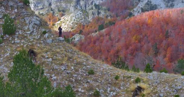 北アルバニアのトゥッリ国立公園で秋の雄大な景色を眺める岩の景色に立っている登山家 — ストック動画