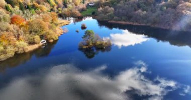 Renkli ağaçlar ve ormanlarla dolu sonbahar manzarası. Cumbria, Birleşik Krallık 'ın göl bölgesinde sonbahar sezonu. 