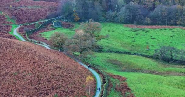 Őszi Táj Színes Fákkal Erdőkkel Őszi Szezon Cumbria Tavi Körzetében — Stock videók