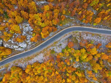 Arnavutluk 'un kuzeyindeki Thethi Ulusal Parkı' nın dağlarında sonbahar yolu. 