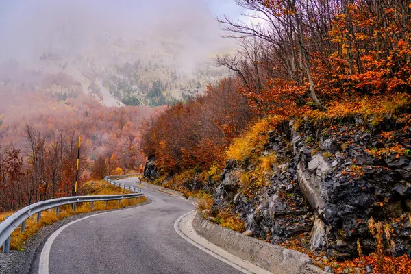 Arnavutluk 'un kuzeyindeki Thethi Ulusal Parkı' nın dağlarında sonbahar yolu. 