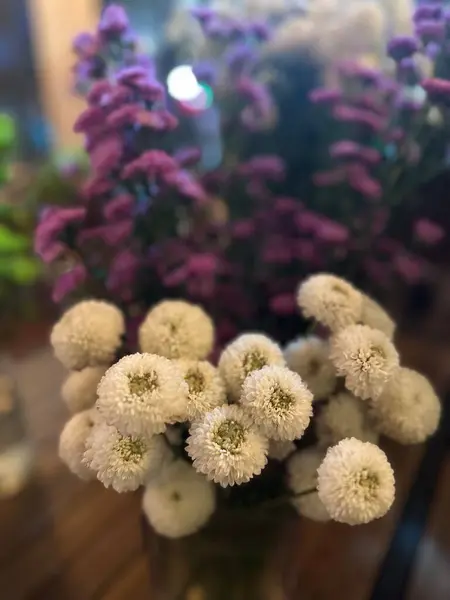 Nsanlar Evlerini Çiçeklerle Süslemeyi Severler — Stok fotoğraf