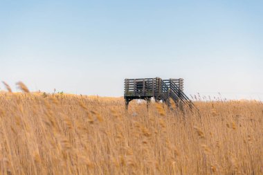 Ocean City Kahve Şirketi: Ocean City Boardwalk, New Jersey 'de Gece Ambiance