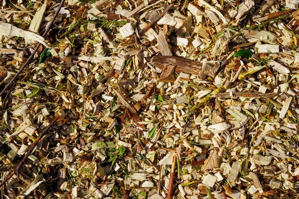 Wood Chip Mulch Background Texture — Stock Photo, Image