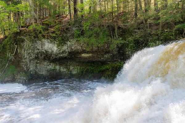 Rauschender Wasserfall Inmitten Üppigen Waldes — Stockfoto