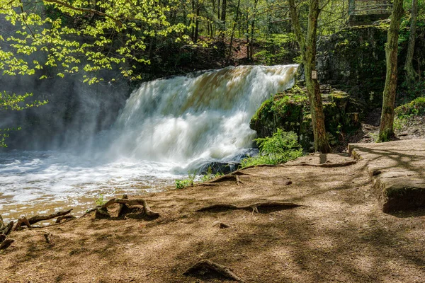 Stürmischer Wasserfall Wald Mit Sprühnebel — Stockfoto