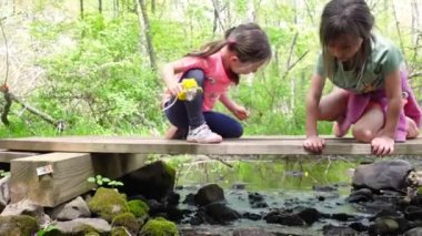 Bahar boyunca dere kenarında oynayan küçük kızlar.