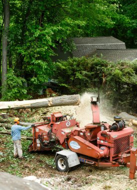 Ağaç Kırma Makinesi, Fırtına Temizleme, Ağaç Kesme Ekipmanı