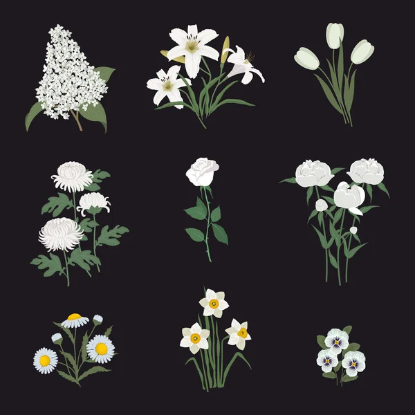 Colección Flores Blancas Sobre Fondo Negro Narcisos Peonías Lila Tulipanes — Vector de stock