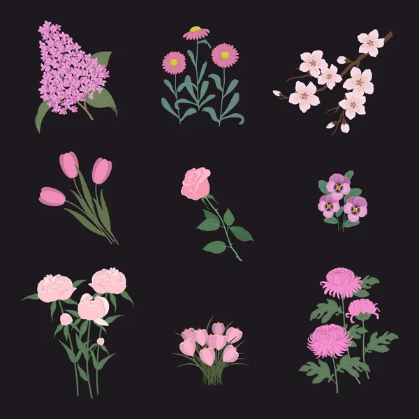 Siyah Arka Planda Pembe Çiçek Koleksiyonu Şakayıklar Leylaklar Laleler Kasımpatılar — Stok Vektör