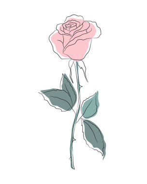 Beyaz arka planda yeşil yapraklı pembe gül. Çizgi Sanat. Yaz çiçekleri. Taslak çizim. Birleşme. Vektör illüstrasyonu