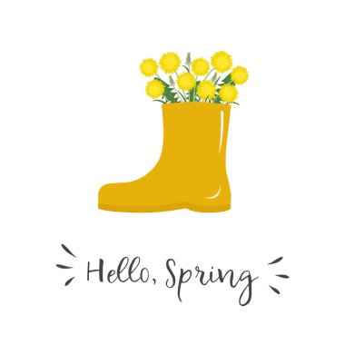 Dandelions in yellow rain boot. Yellow spring flowers. Hello Spring concept. Floral composition. Vector illustration on white