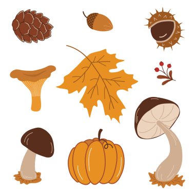 Autumn Elements Isolated on White. Set. Autumn Leaf, Mushrooms, Pumpkin, Acorn, Cone, Chestnut, Yellow Maple Leaf, Berries. Hello Autumn Vector Illustration