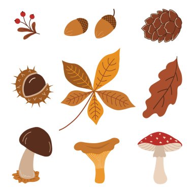 Sonbahar elementleri beyazda izole edildi. Hazır ol. Sonbahar Yaprağı, Mantar, Palamut, Koni, Kestane, Fly Agaric, Kestane Yaprağı, Meşe Yaprağı. Merhaba Sonbahar Vektör İllüstrasyonu