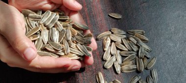 El Ayçiçeği tohumları