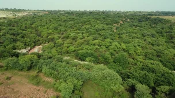 Літати Над Дощовим Лісом Пакистані — стокове відео