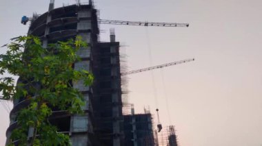 Turna, inşaat halindeki binada çalışıyor. 