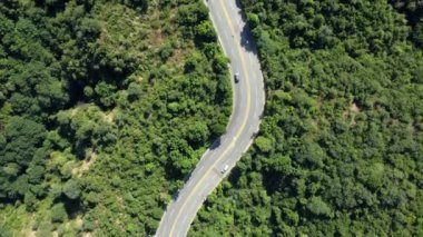 Yüksek açılı drone mermisi, canlı yeşilliğin içinden geçen dolambaçlı bir yolu olan yemyeşil bir orman ortaya çıkarıyor. Trafik kıvrımlı bir yolda, parlak bir günde sorunsuzca akar.