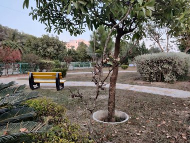 Bench in the park in a Autumn weather with the dry leaves clipart