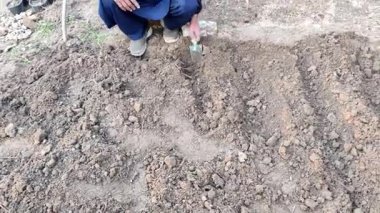 Erkekler bahçıvanlık yapıyor, yüzeyi düzleştiriyor ve toprağı ekime hazır hale getiriyor. Rawalpindi Pakistan 21 Şubat 2025