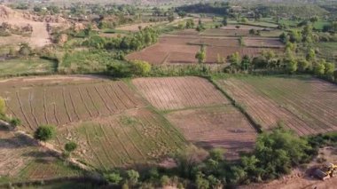 Hava Aracı, Drone 'un Gün Işığındaki Tarım Manzarasını Geniş Görüş Alanında Büyüyen Küçük Ekinleri Gösteriyor