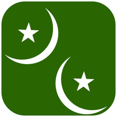 Hilal ay ve yıldızlı Pakistan bayrağının vektör çizimi