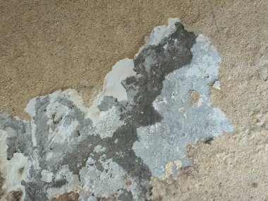 Hasarlı duvar yüzeyini soyulmuş boya ve görünür dokularla kapatın.