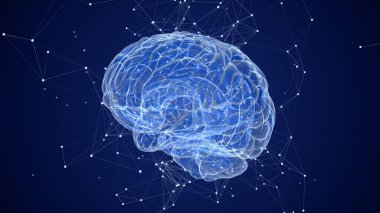 3D Animation of Human Brain with plexus