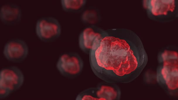 Microscopic Closeup Bacteria Virus — ストック動画