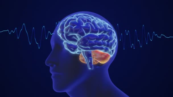 Animatie Van Menselijke Hersenen Intelligentie Denken Met Golven — Stockvideo