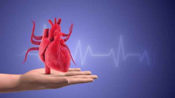 Kalp Nabız Dalgalarıyla — Stok video