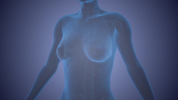乳がん細胞の概念的な可視化 — ストック動画