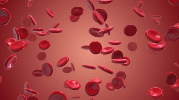 Cellules Sanguines Déplaçant Dans Veine — Video