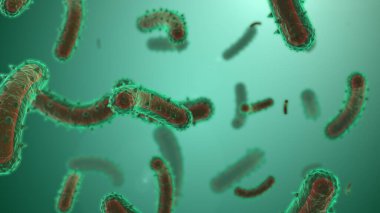 Kuduz virüsünün mikroskobik görselleştirilmesi.