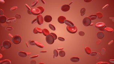 Damarlarda dolaşan kan hücreleri