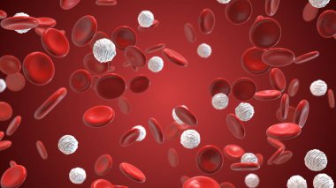 Red and white blood cells in an artery clipart