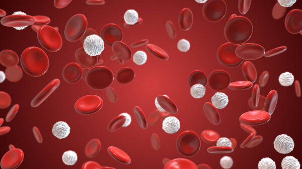 Красные и белые кровяные тельца в артерии
