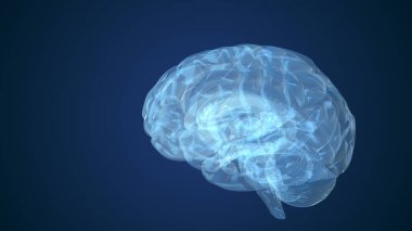 İnsan beyninin soyut animasyonu