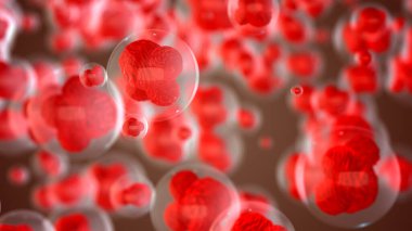 İnsan hücresi veya Embriyonik kök hücreleri