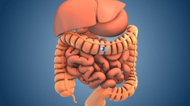 Tıbbi kapsül endoskopi tekniği.