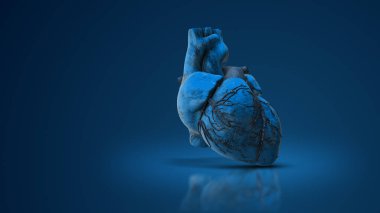 3D medical animation of a human heart clipart
