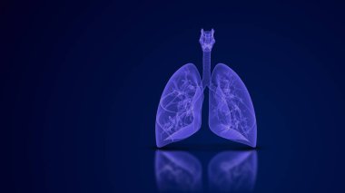 İnsan ciğerleri solunum sistemi tıbbi geçmişi